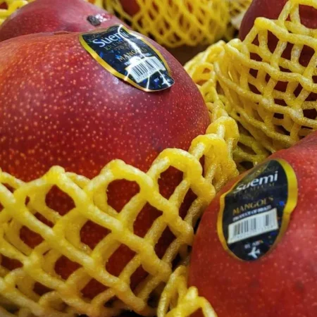 MANGUE AVION
