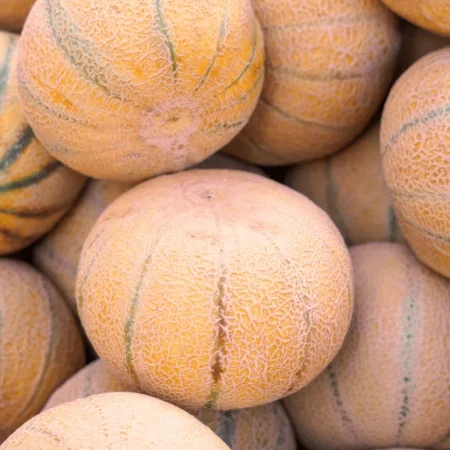 MELON