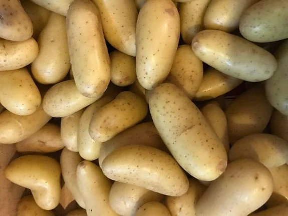 POMME DE TERRE CELTIANE