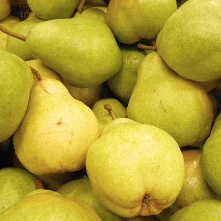 POIRE WILLIAM