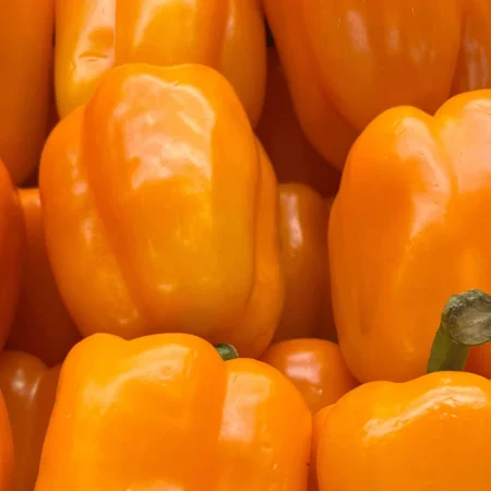 POIVRON ORANGE