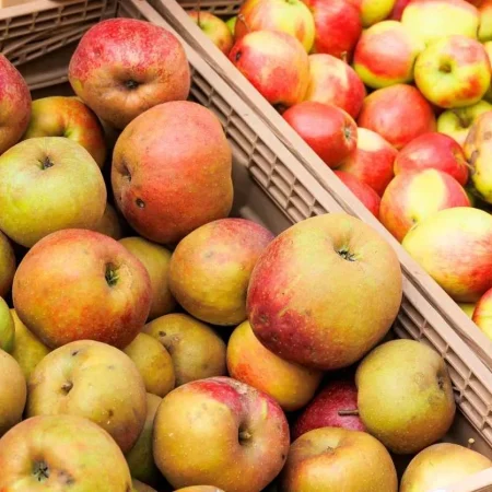 POMME BOSKOOP 10KG de nos vergers