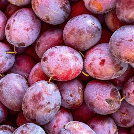 PRUNE QUETSCHE 5KG