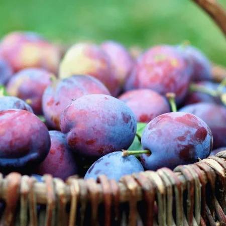 PRUNE QUETSCHE PANIER 1KG