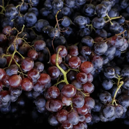 RAISIN MUSCAT