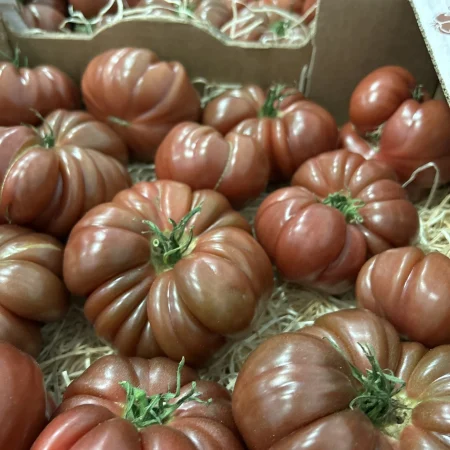 TOMATE COTELEE NOIRE de CRIMEE