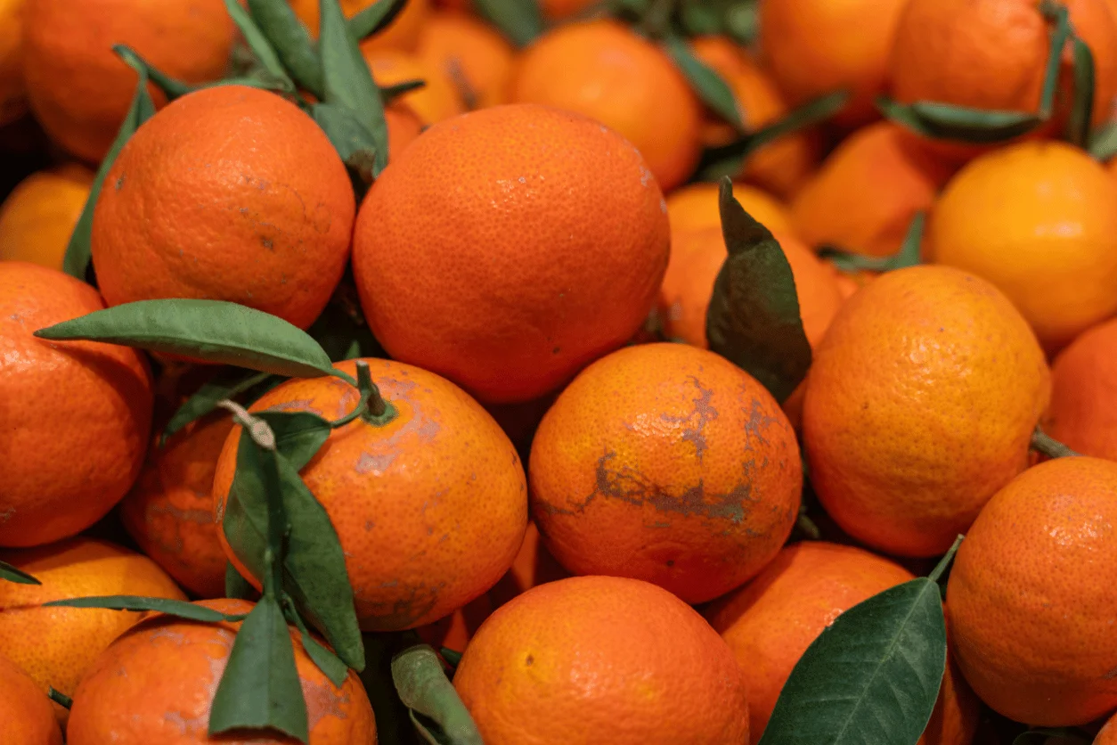 ORANGE FEUILLE