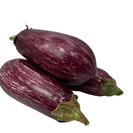 AUBERGINE ZEBREE