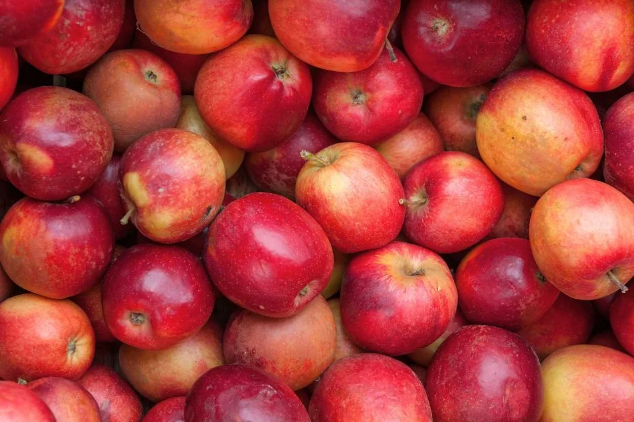 POMME DALINCLASS 10KG de nos vergers