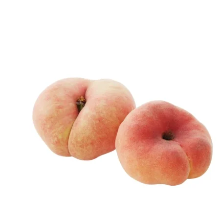 NECTARINE PLATE BLANCHE
