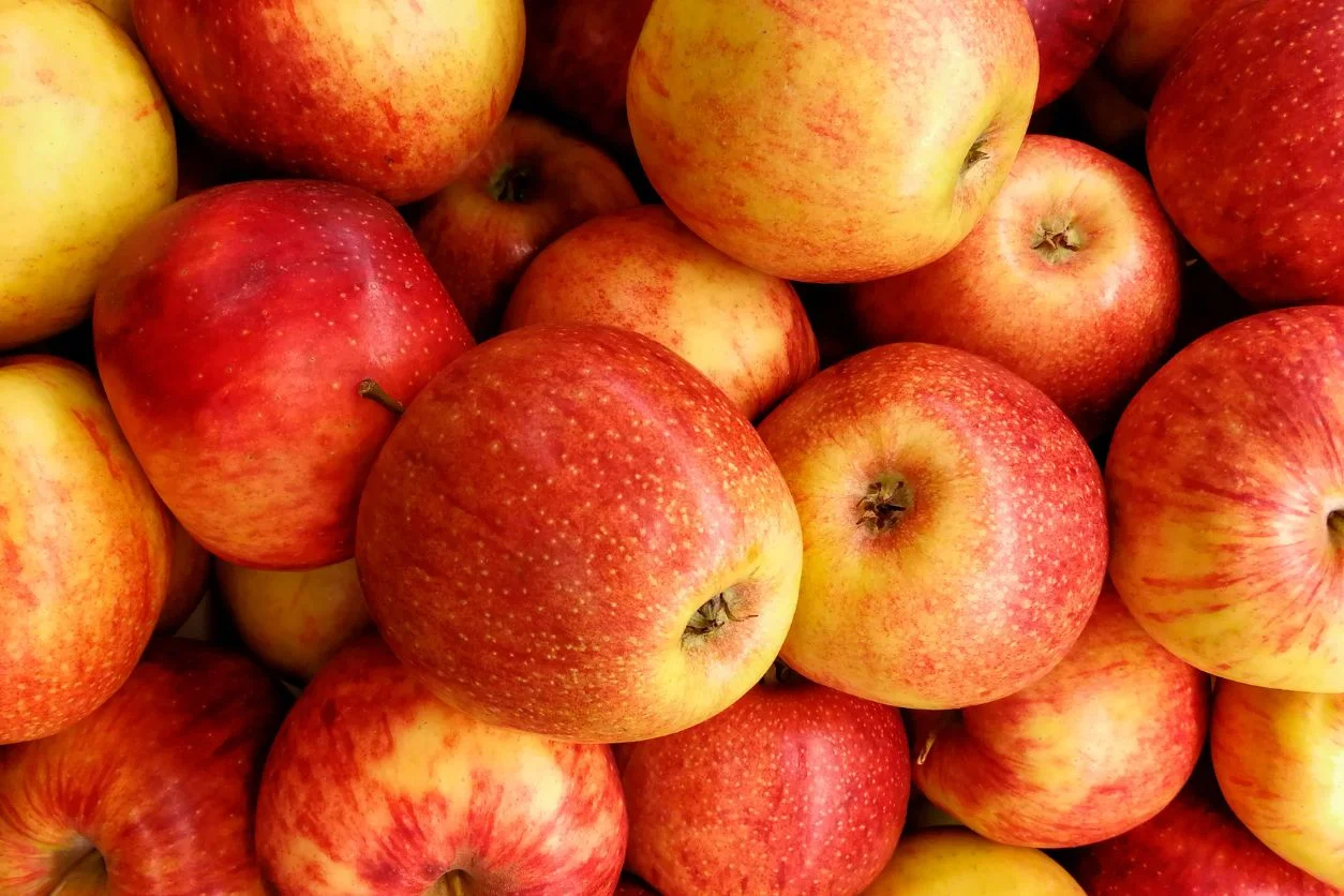 POMME BRAEBURN