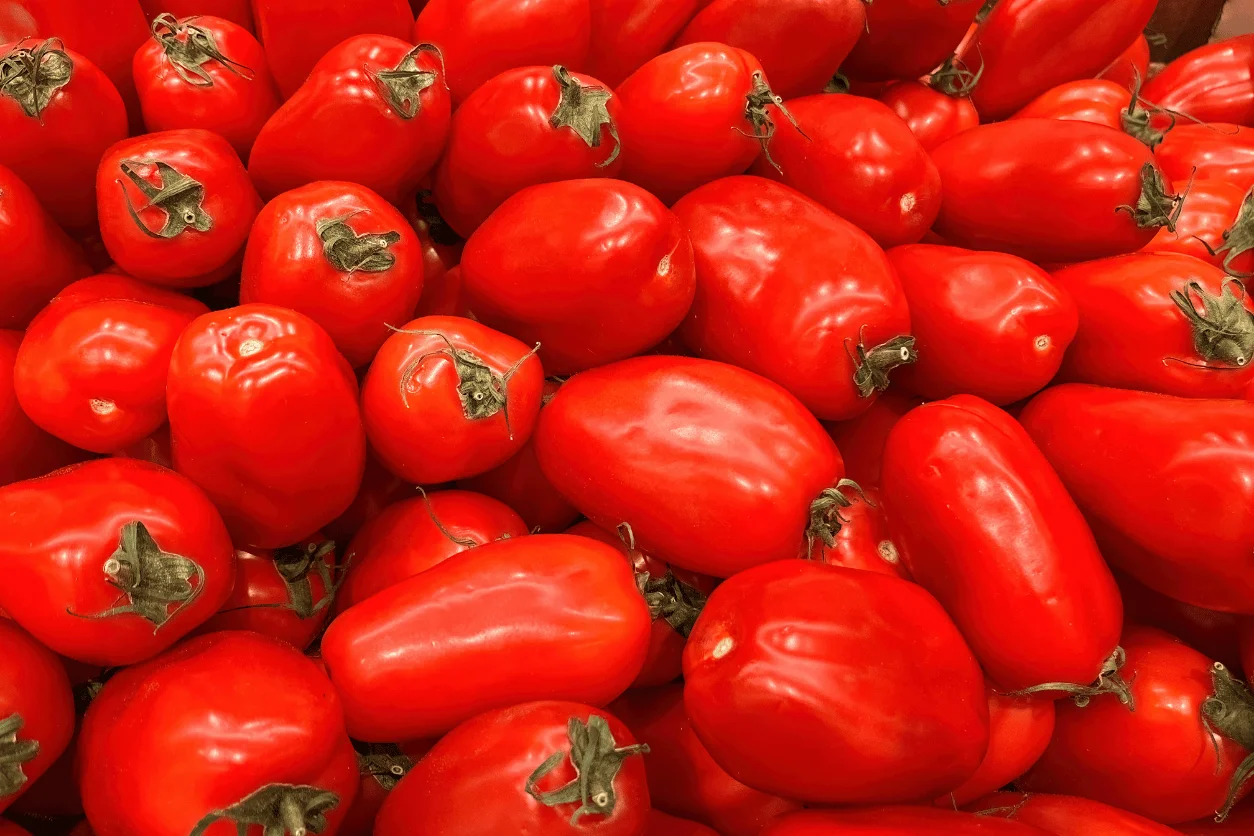 TOMATE ALLONGEE ROMA 9KG COLIS