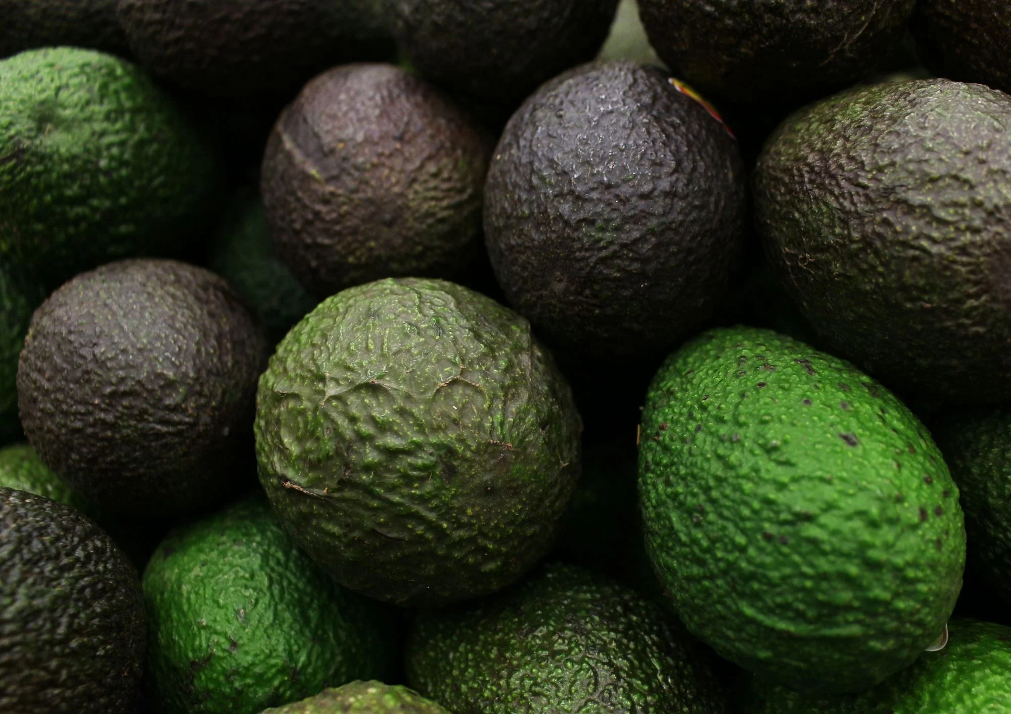 AVOCAT