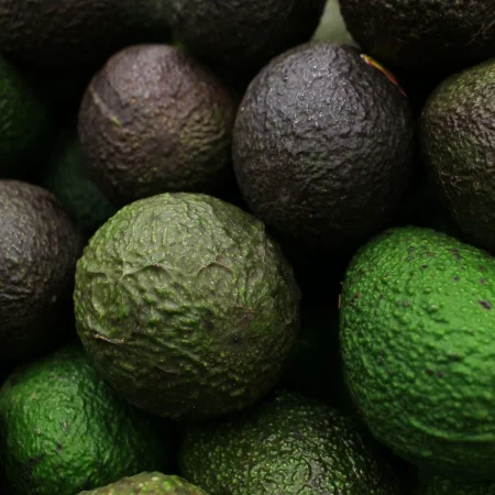 AVOCAT