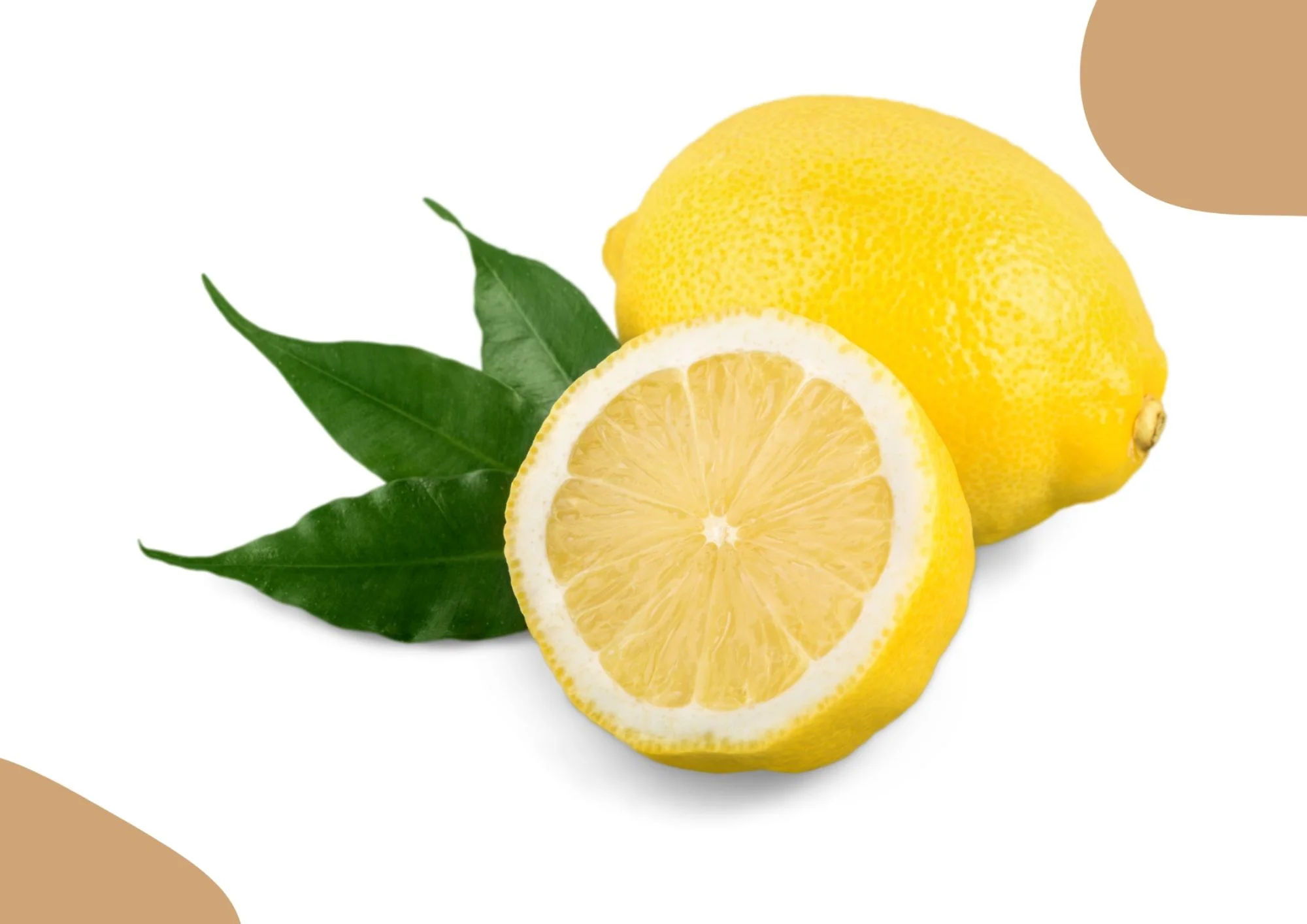 CITRON FEUILLE DE CORSE