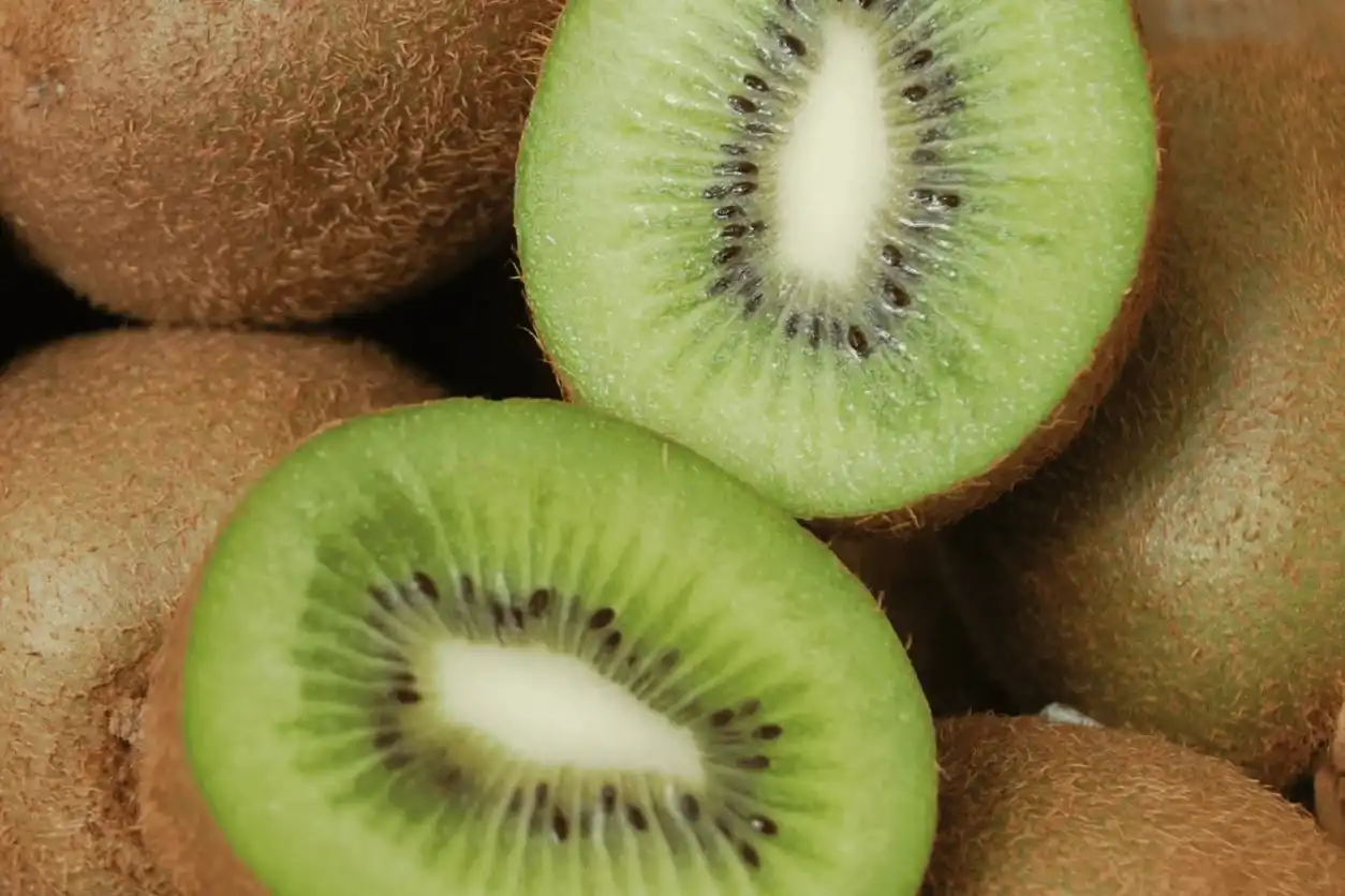 KIWI VERT hayward