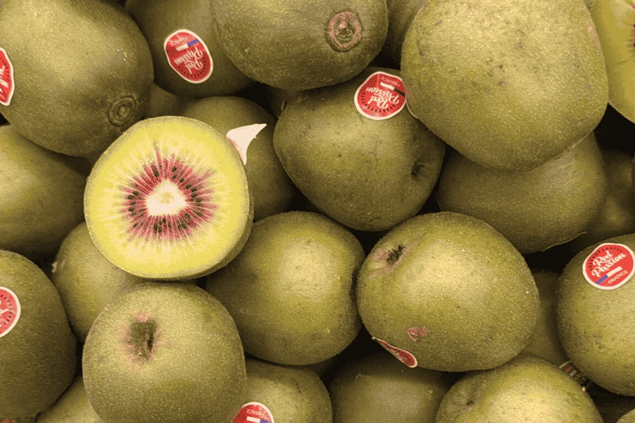KIWI ROUGE