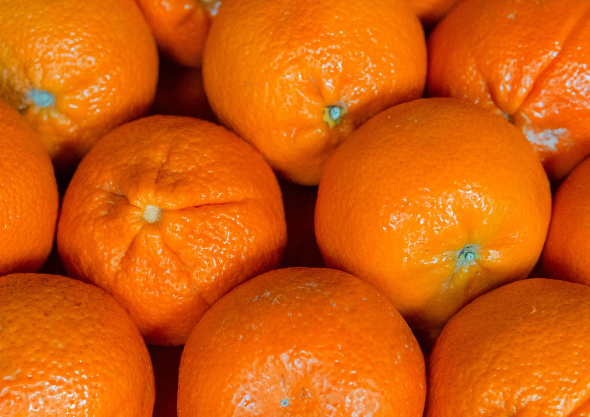 MANDARINE ORRI