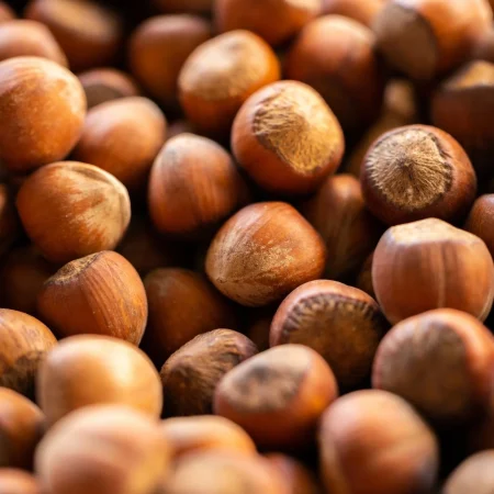 NOISETTE