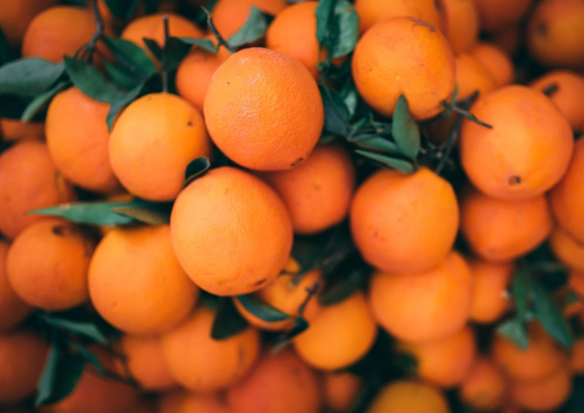 ORANGE FEUILLE
