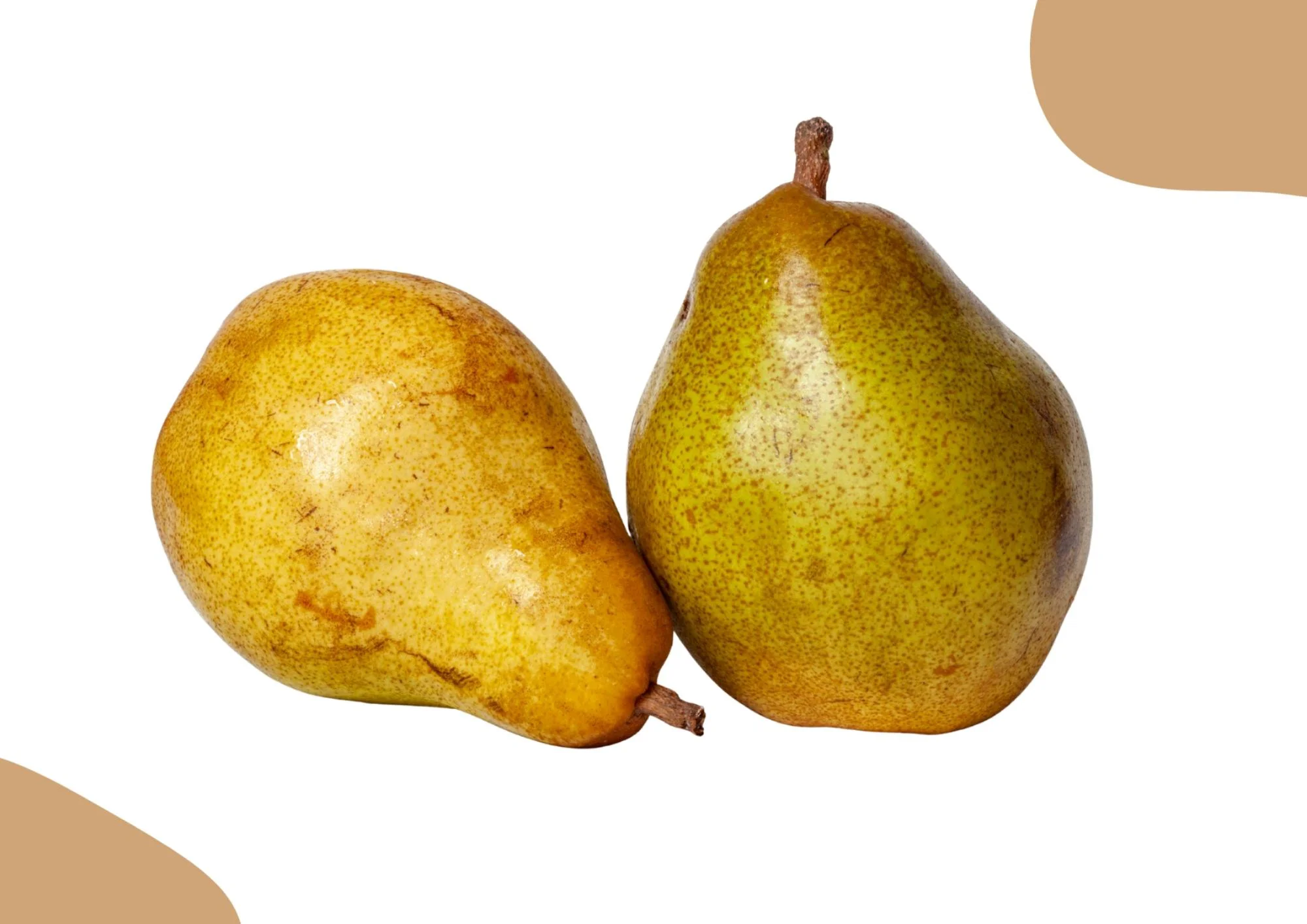 POIRE COMICE