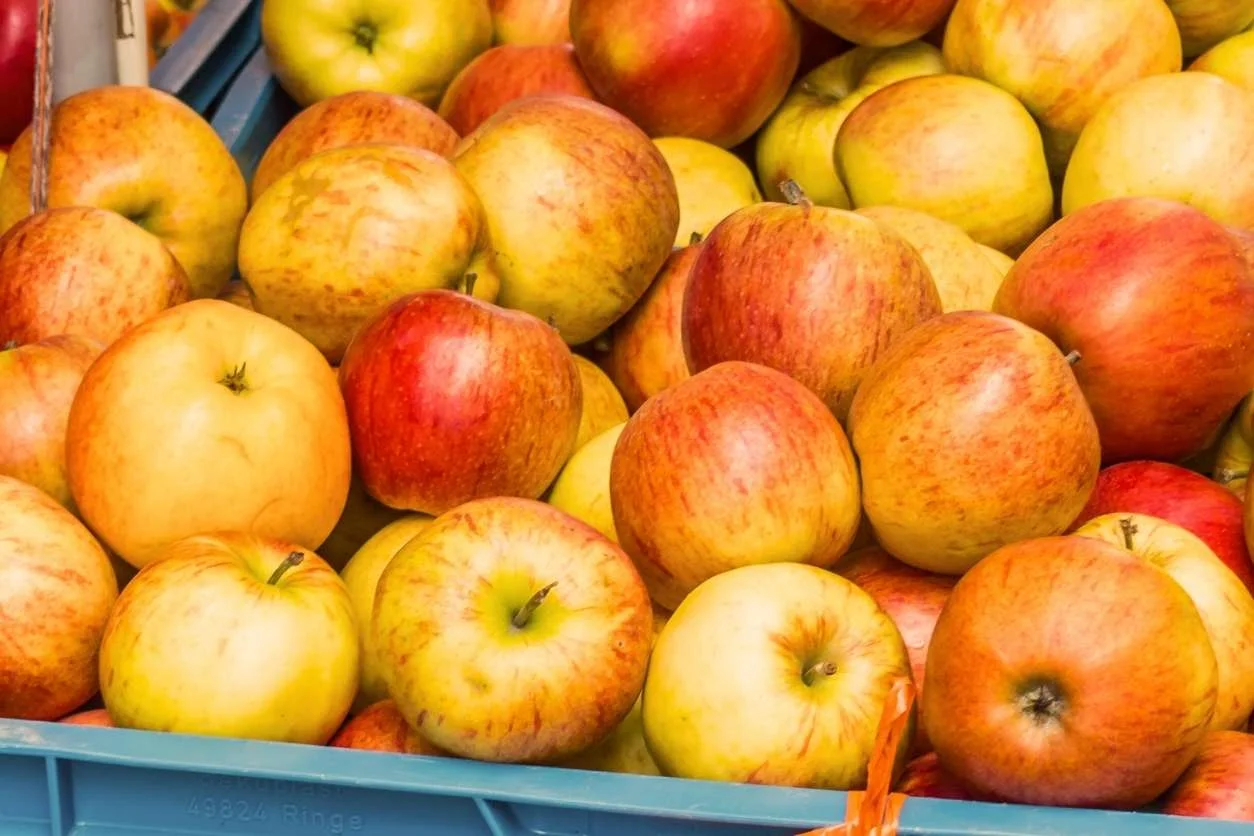 POMME DALINCO 10KG