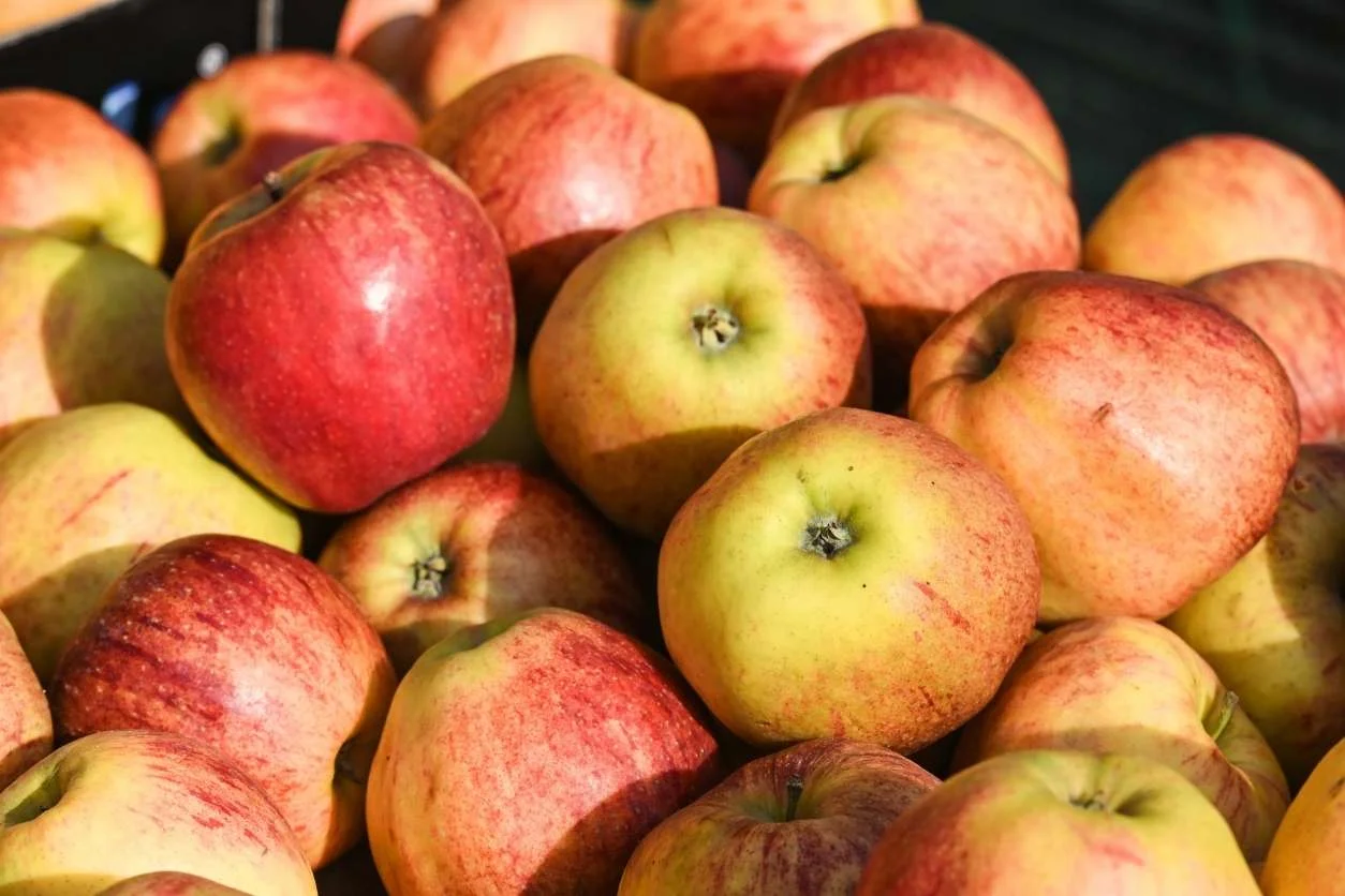POMME DALINCO
