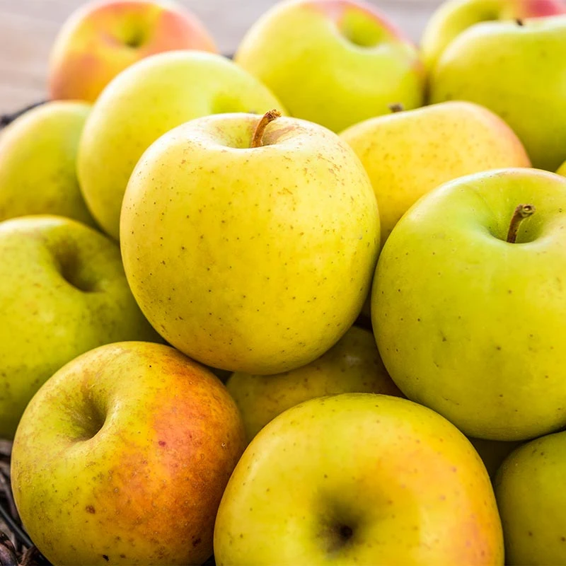 POMME GOLDRUSH
