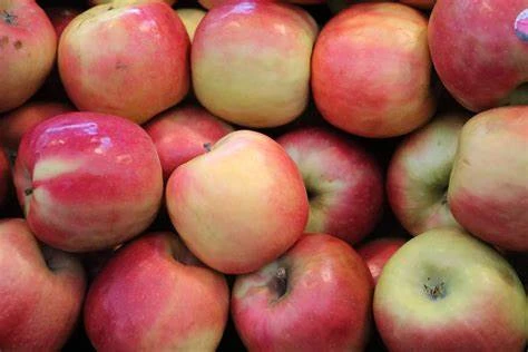 POMME PINK LADY