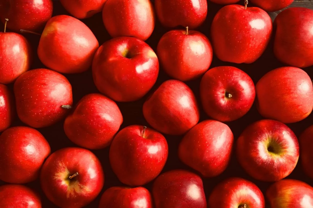 POMME ROYAL GALA