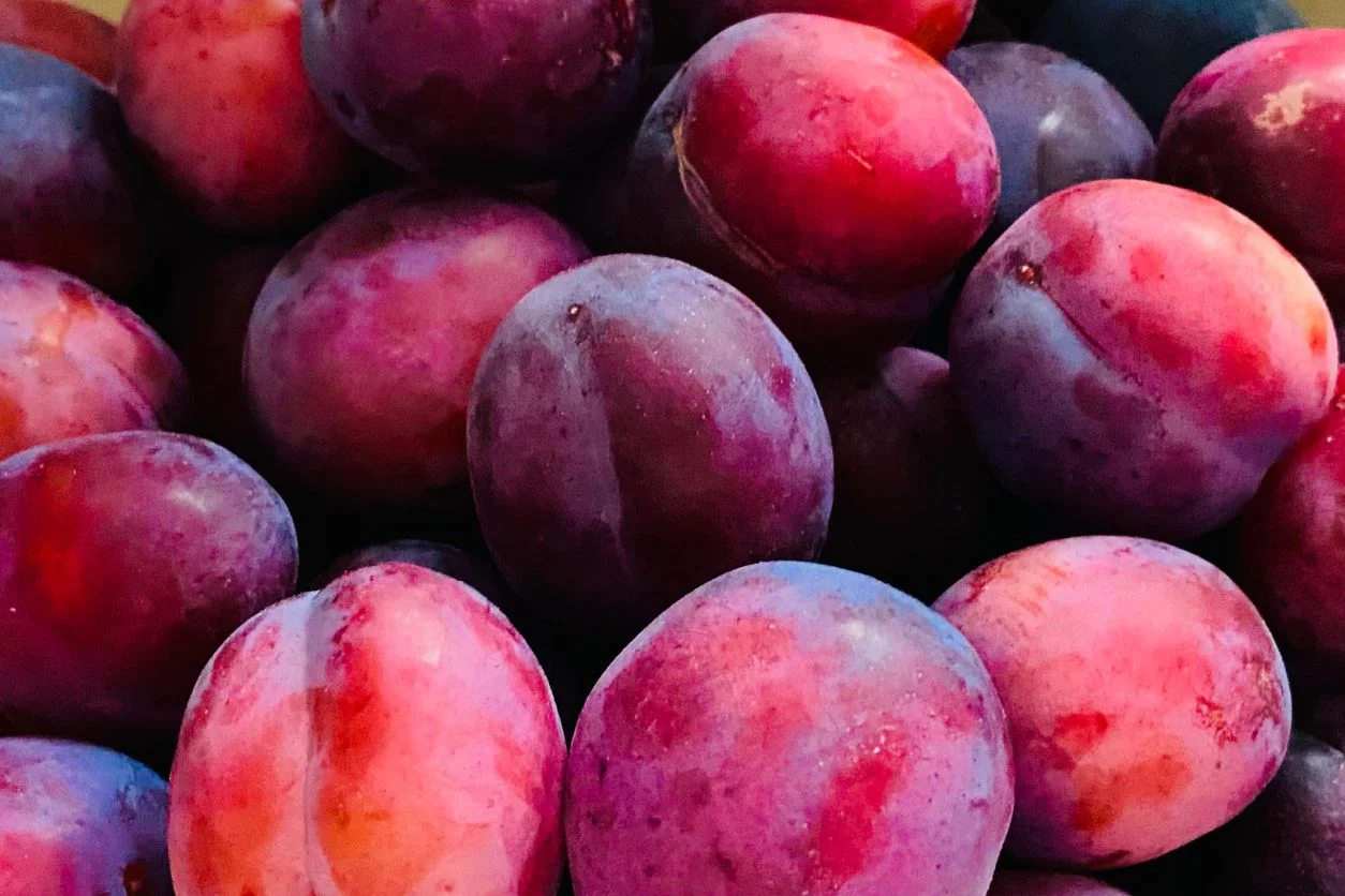 PRUNE ROUGE