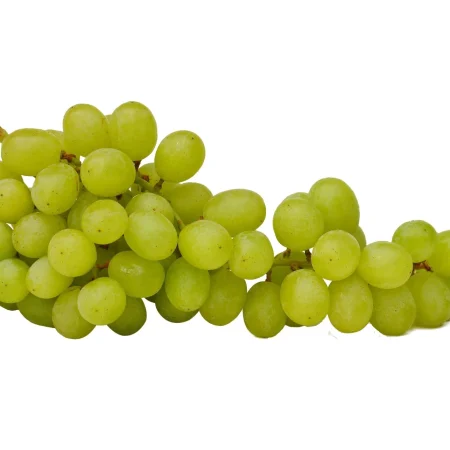 RAISIN ITALIA